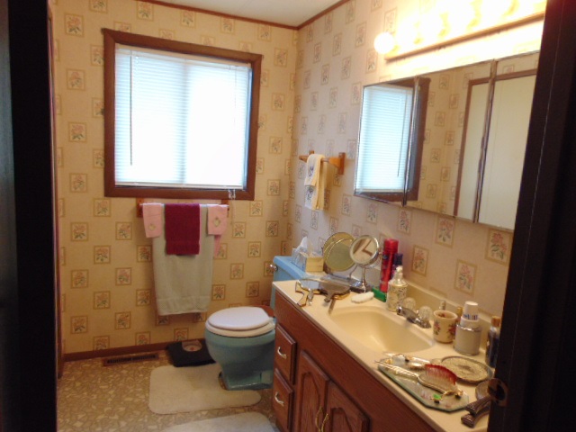 335 South Ithaca Street Ithaca, MI 48847 - Photo 15 of 28 1873017-14.JPG