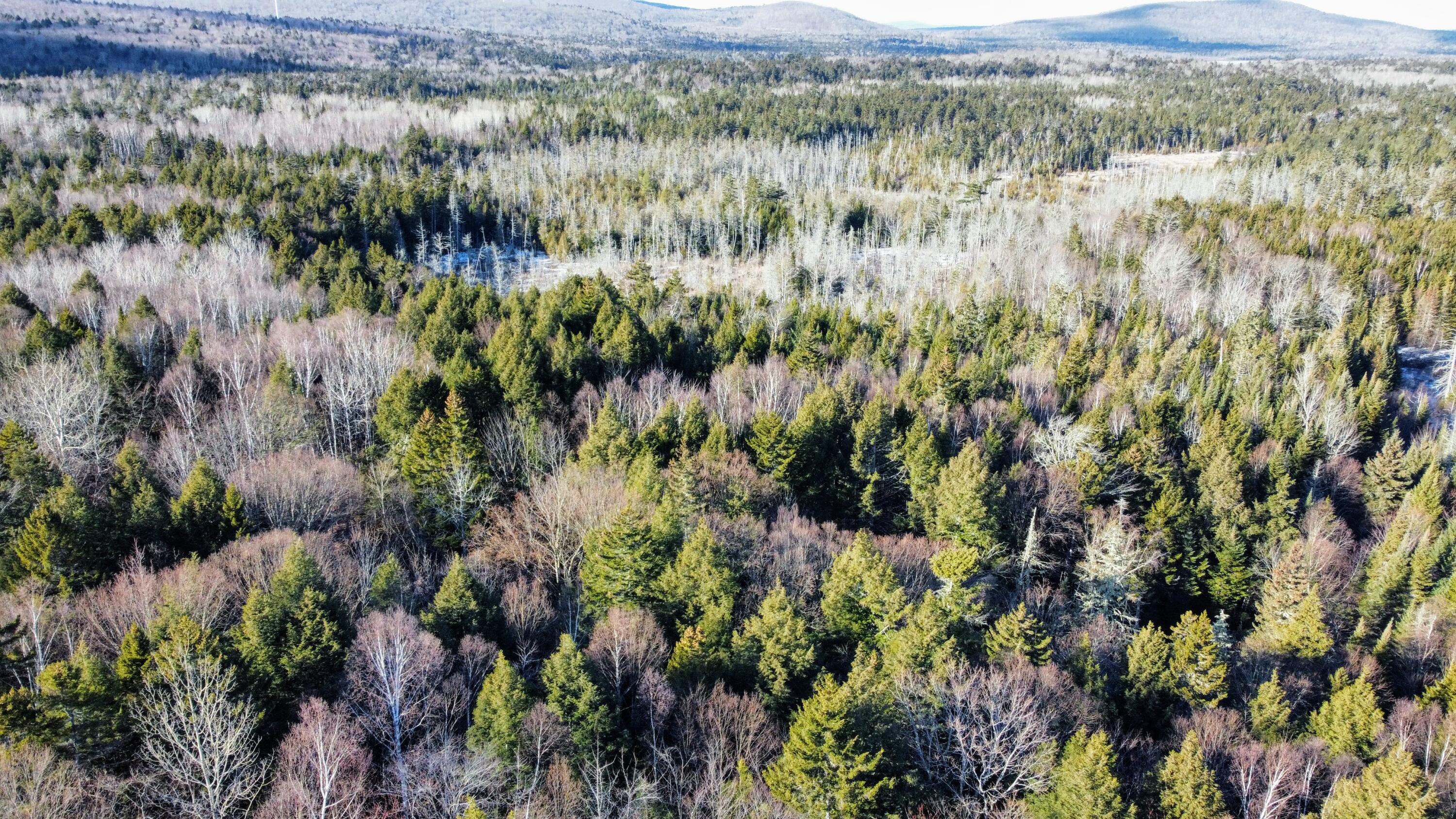 40.2 Mountain Road Linneus, ME 04730 - Photo 5 of 6 dji_export_1639587172801