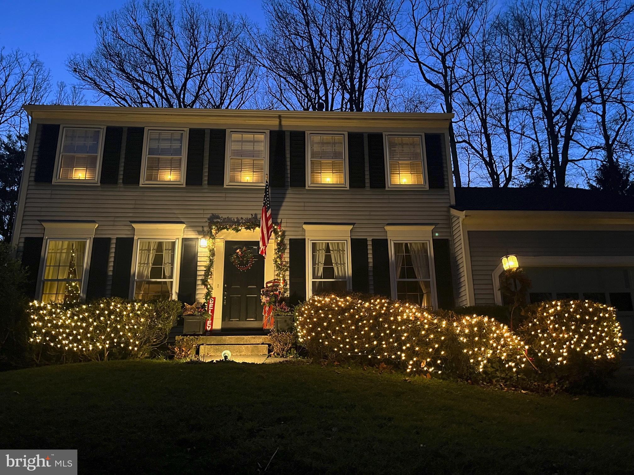 11689 Bennington Woods Road Reston, VA 20194 - Photo 28 of 30 Holiday lighting