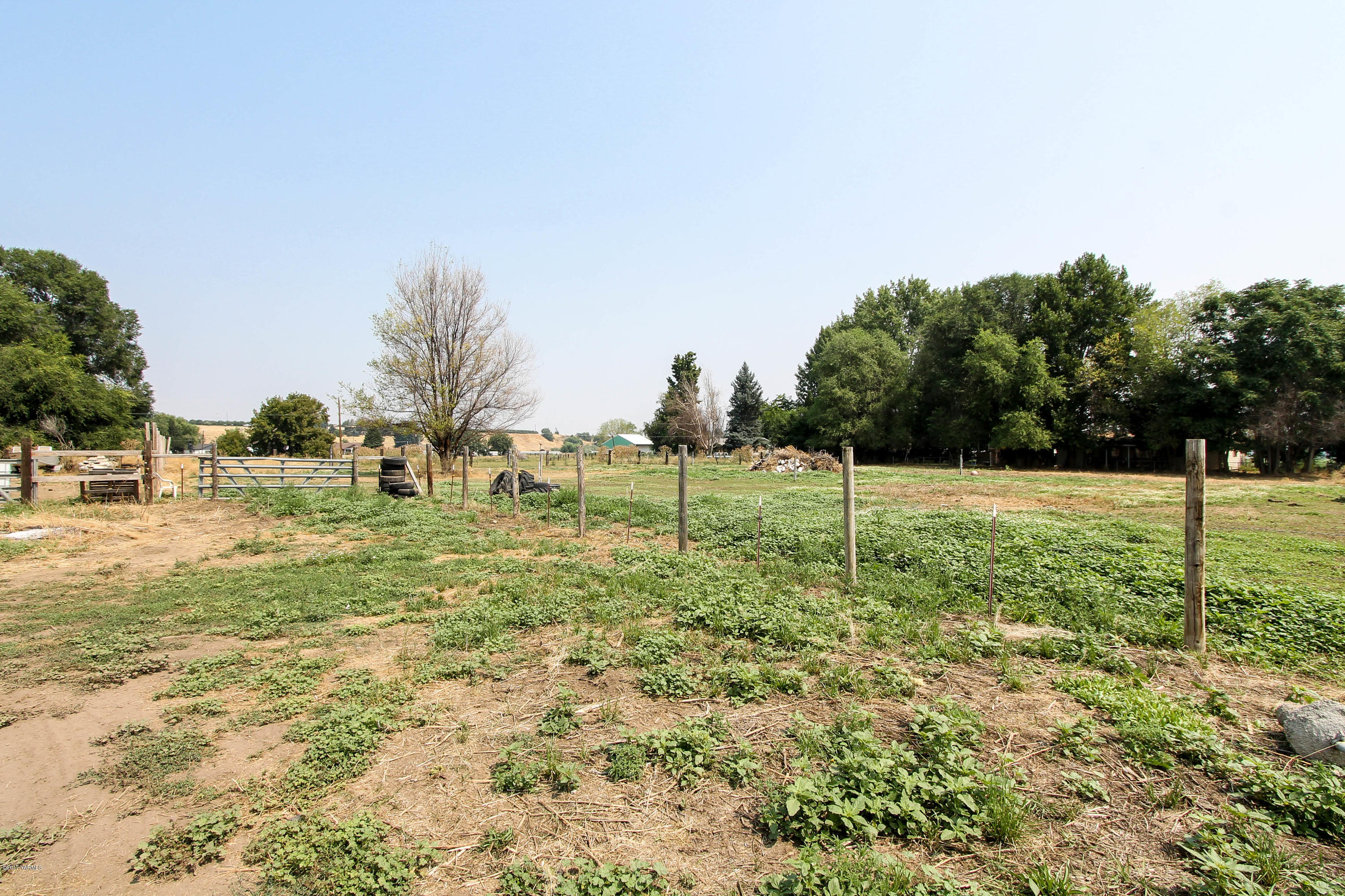 2911 Wiley Road Yakima, WA 98903 - Photo 30 of 35 fenced pasture