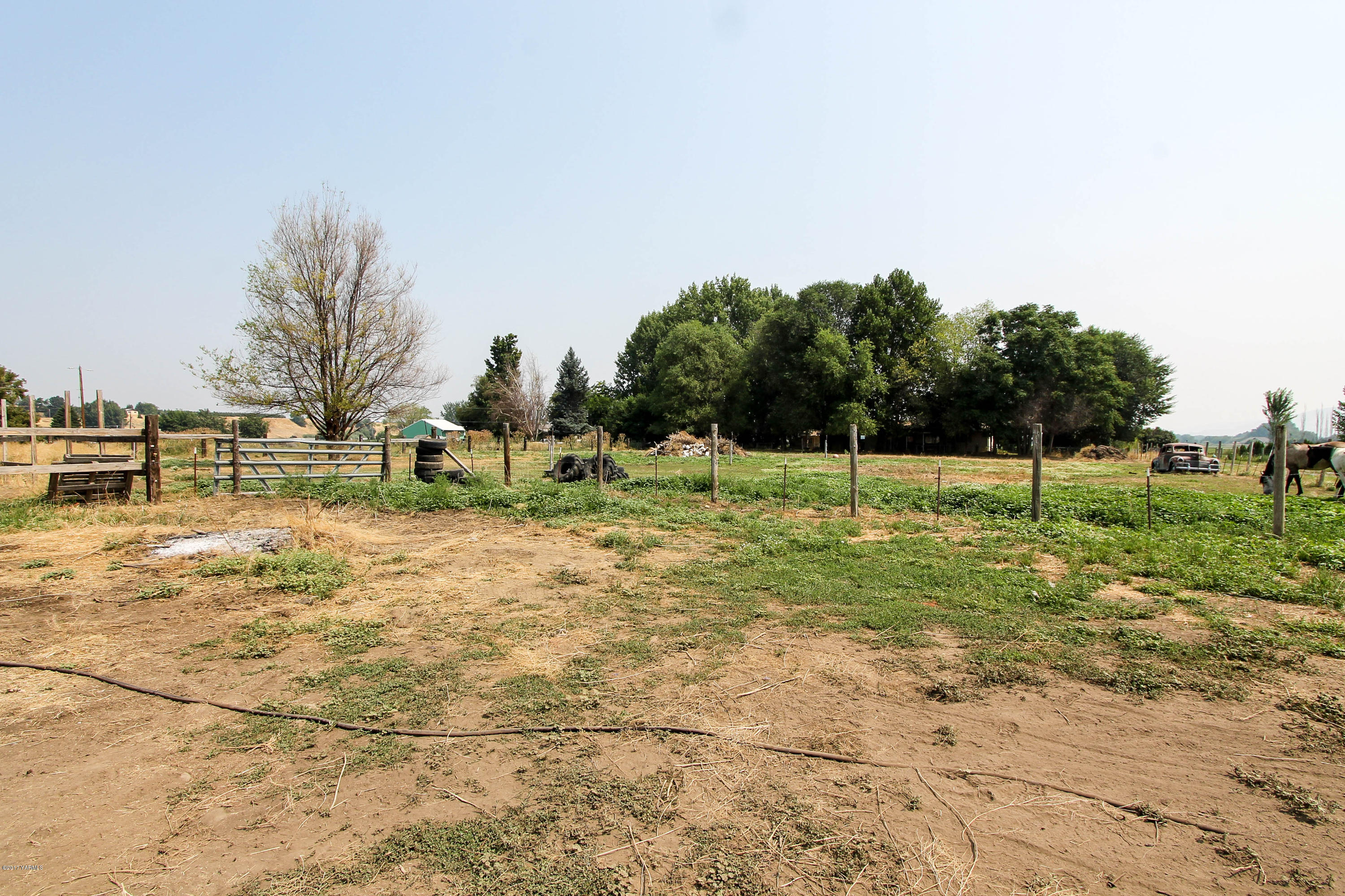 2911 Wiley Road Yakima, WA 98903 - Photo 31 of 35 IMG_3866