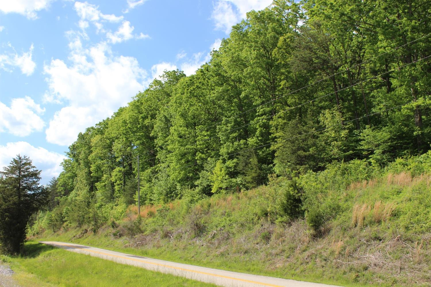 2010 Pryse Road Irvine, KY 40336 - Photo 51 of 56 Photo 51