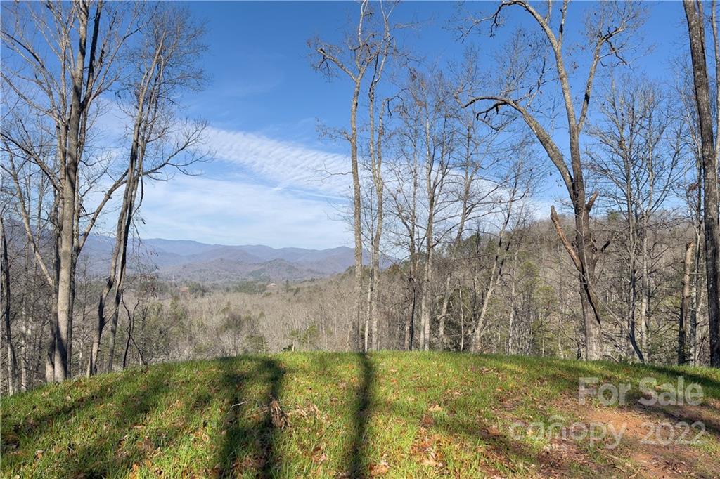 0 Robinson Gap Road, Unit 2 Bryson City, NC 28713 - Photo 1 of 9 Gallery Image 1