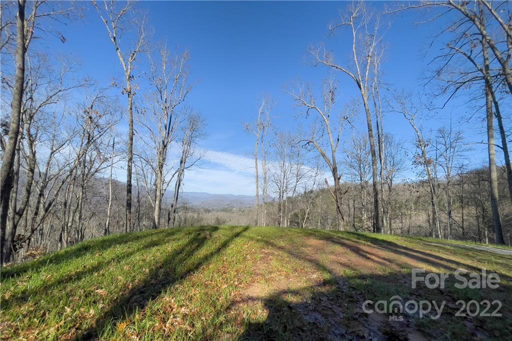 0 Robinson Gap Road, Unit 2 Bryson City, NC 28713 - Photo 2 of 9 Gallery Image 2