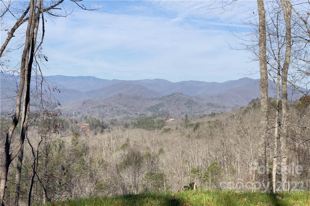 0 Robinson Gap Road, Unit 2 Bryson City, NC 28713 - Photo 4 of 9 Gallery Image 4