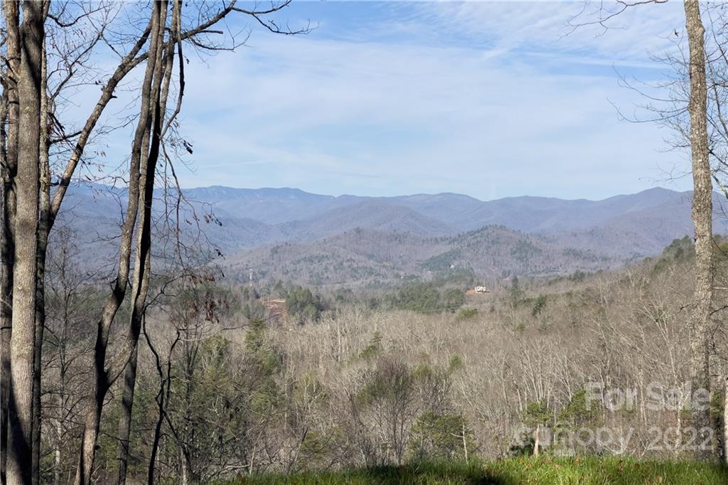 0 Robinson Gap Road, Unit 2 Bryson City, NC 28713 - Photo 5 of 9 Gallery Image 5