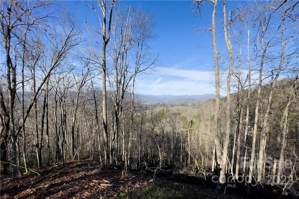 0 Robinson Gap Road, Unit 2 Bryson City, NC 28713 - Photo 6 of 9 Gallery Image 6