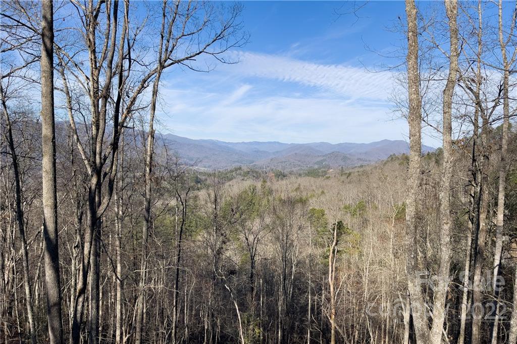0 Robinson Gap Road, Unit 2 Bryson City, NC 28713 - Photo 7 of 9 Gallery Image 7