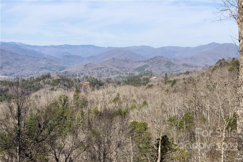 0 Robinson Gap Road, Unit 2 Bryson City, NC 28713 - Photo 8 of 9 Gallery Image 8