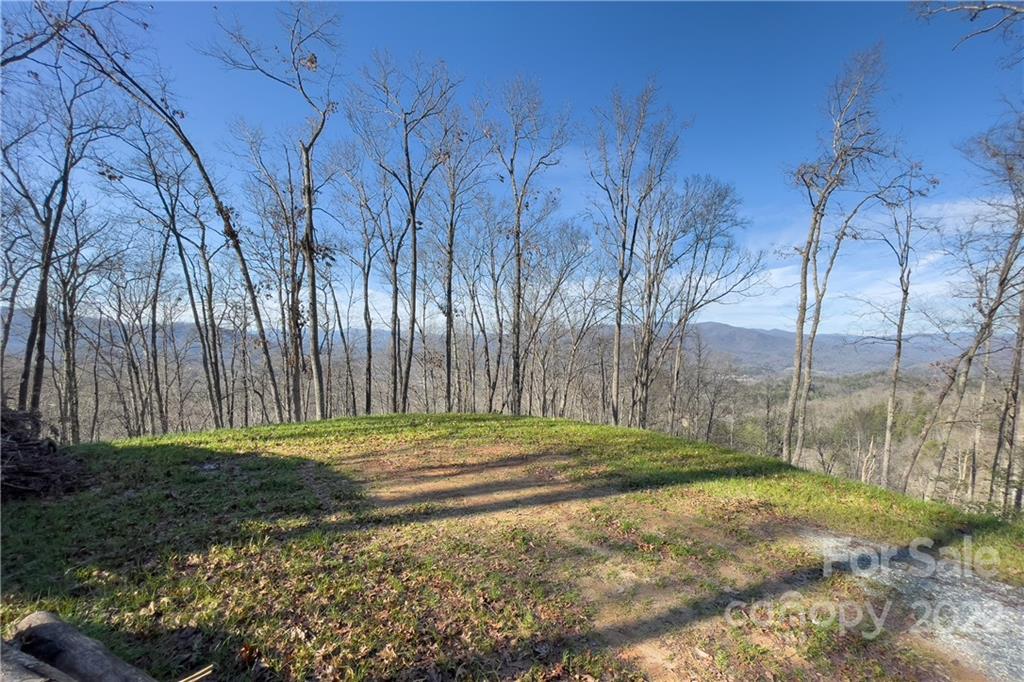 0 Robinson Gap Road, Unit 2 Bryson City, NC 28713 - Photo 9 of 9 Gallery Image 9