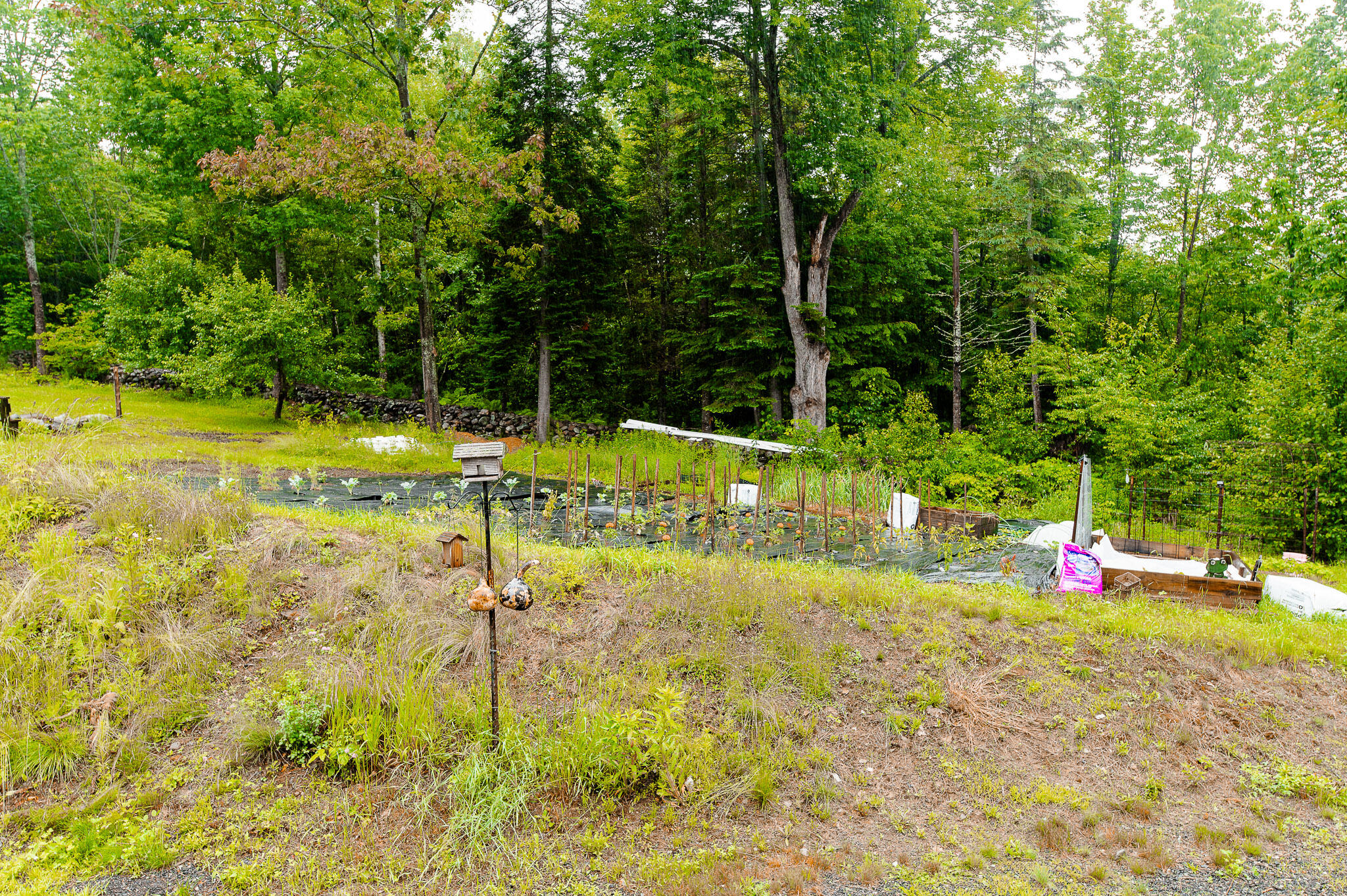 111 Wells Road New Vineyard, ME 04956 - Photo 55 of 89 111 Wells Road