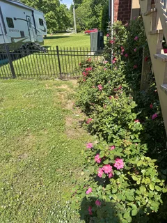 a view of garden with flowers and trees