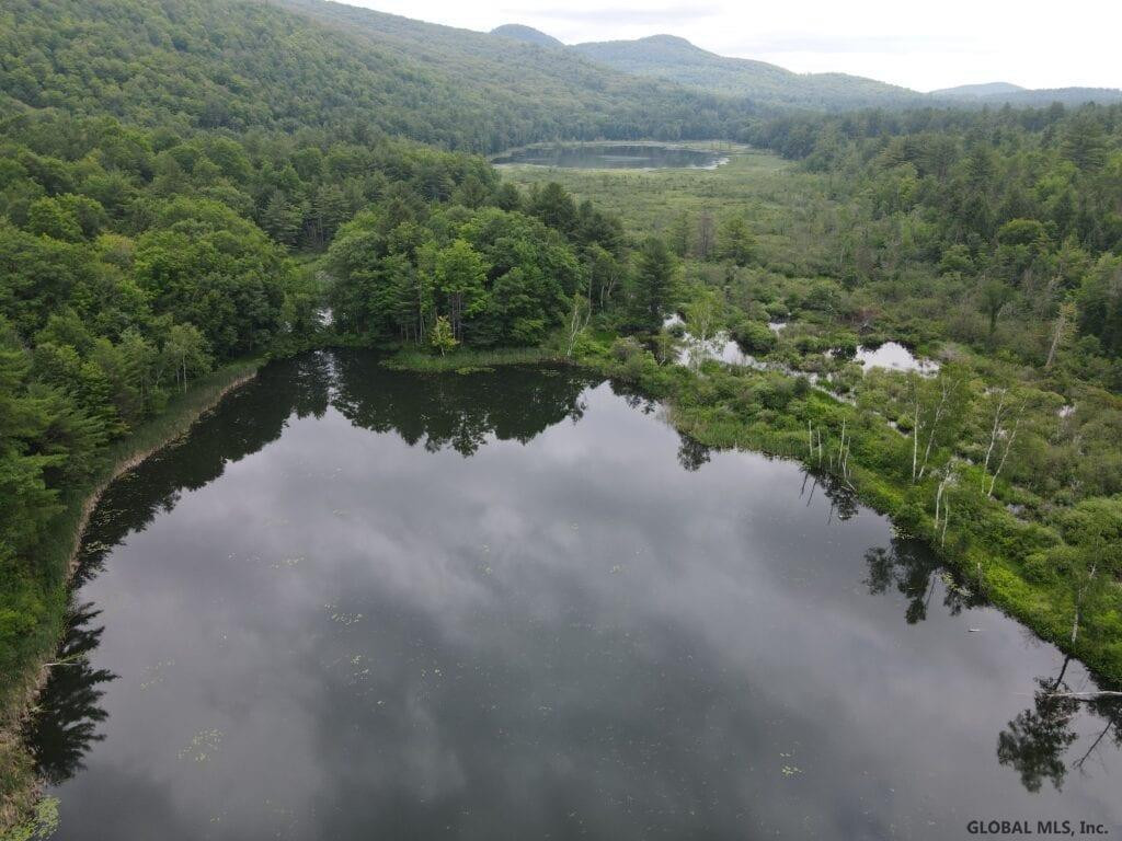 0 Mountain Road Athol, NY 12810 - Photo 1 of 32 Photo 1