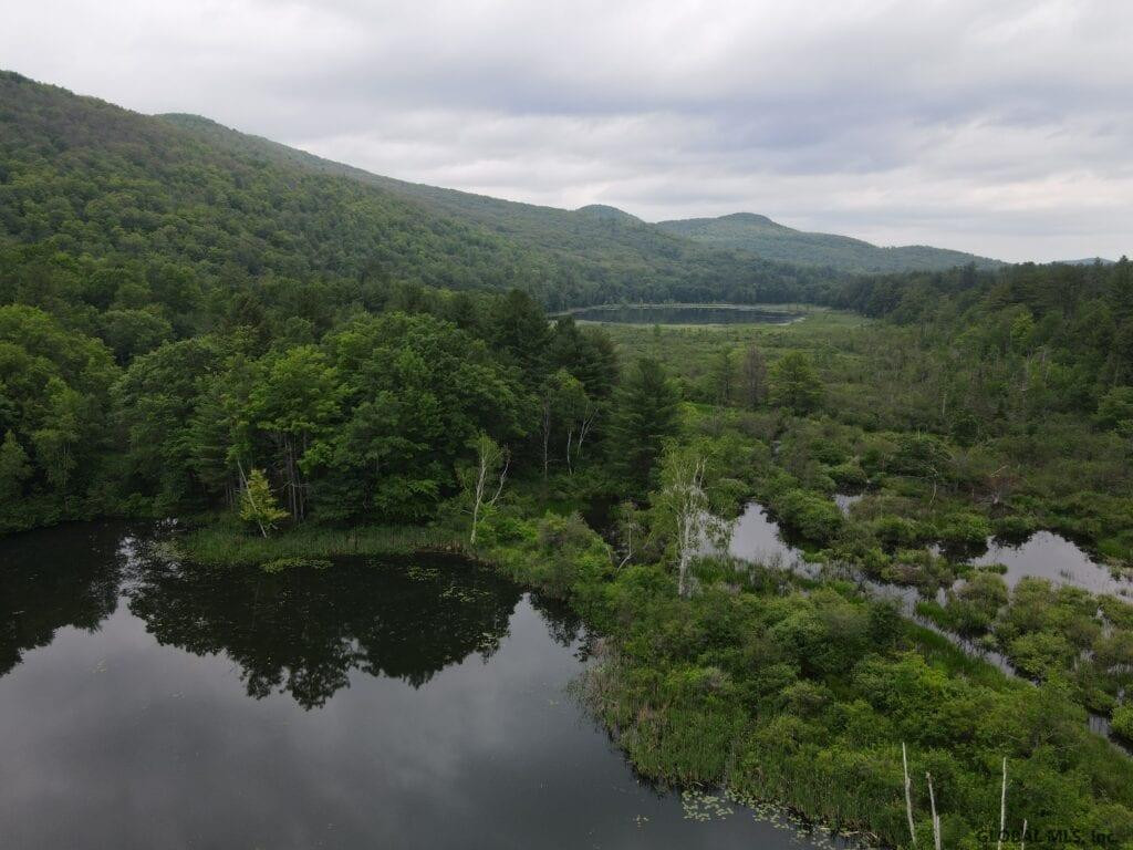 0 Mountain Road Athol, NY 12810 - Photo 11 of 32 Photo 11