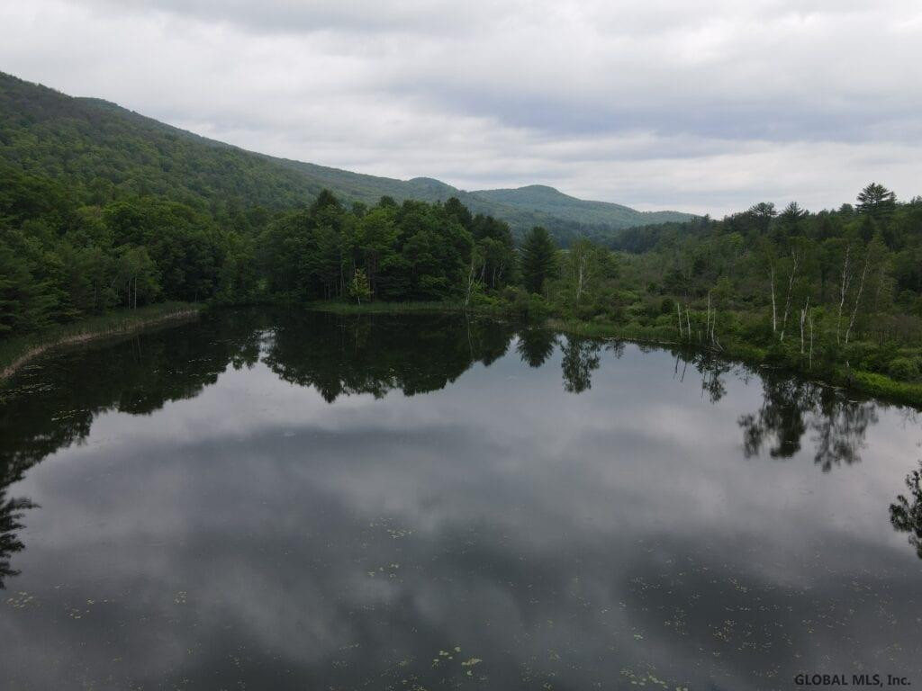 0 Mountain Road Athol, NY 12810 - Photo 12 of 32 Photo 12
