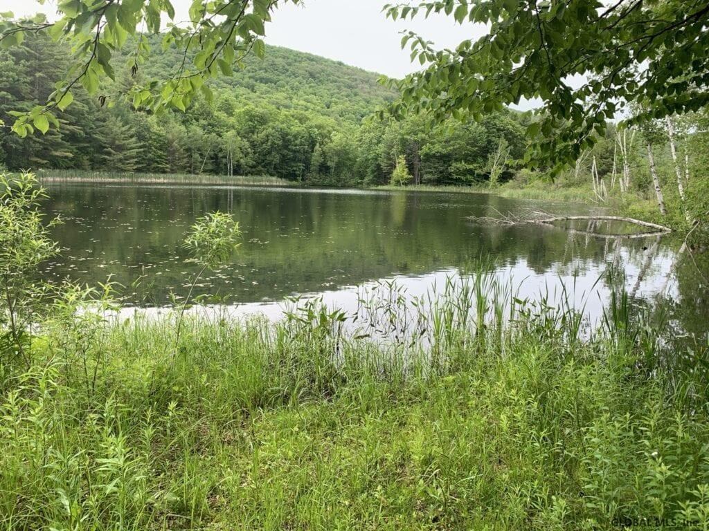0 Mountain Road Athol, NY 12810 - Photo 13 of 32 Photo 13