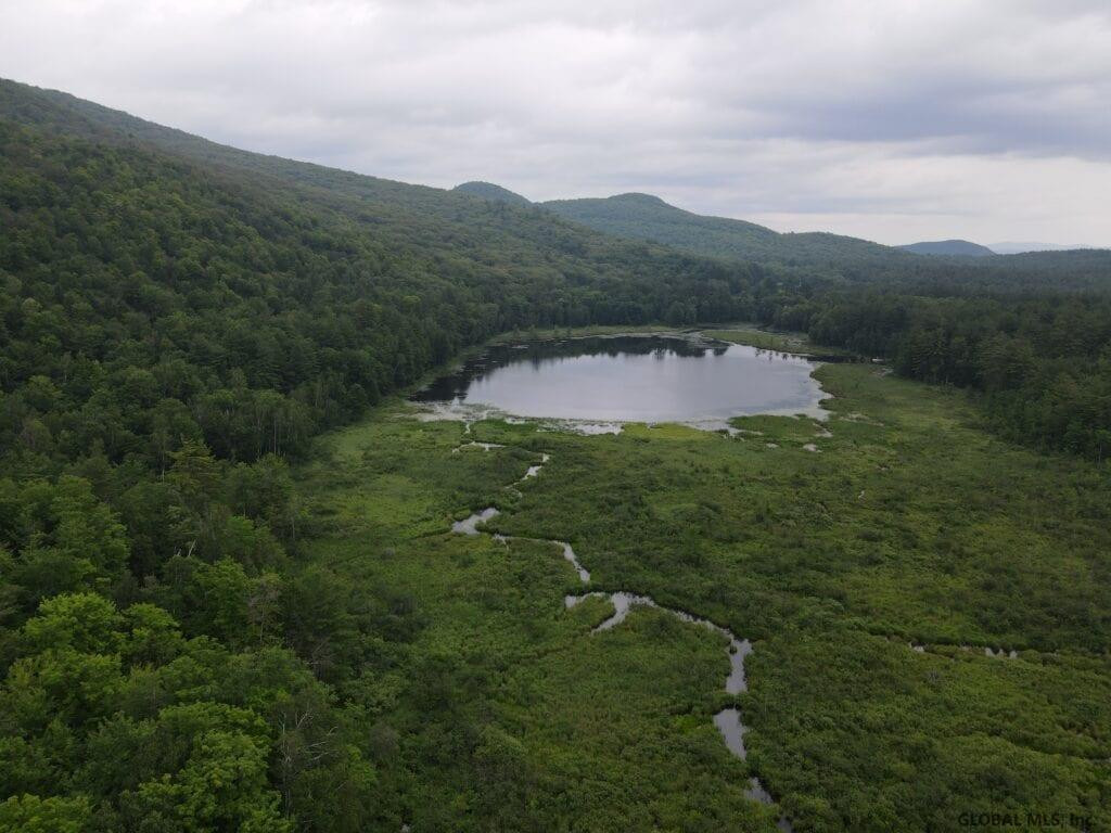 0 Mountain Road Athol, NY 12810 - Photo 14 of 32 Photo 14