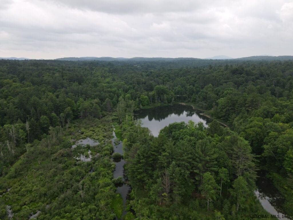 0 Mountain Road Athol, NY 12810 - Photo 15 of 32 Photo 15