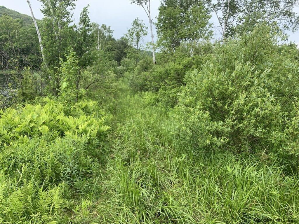 0 Mountain Road Athol, NY 12810 - Photo 16 of 32 Photo 16