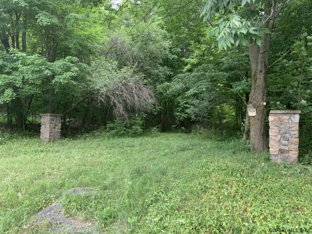 0 Mountain Road Athol, NY 12810 - Photo 17 of 32 Photo 17