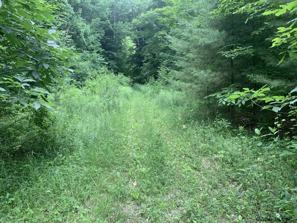 0 Mountain Road Athol, NY 12810 - Photo 20 of 32 Photo 20