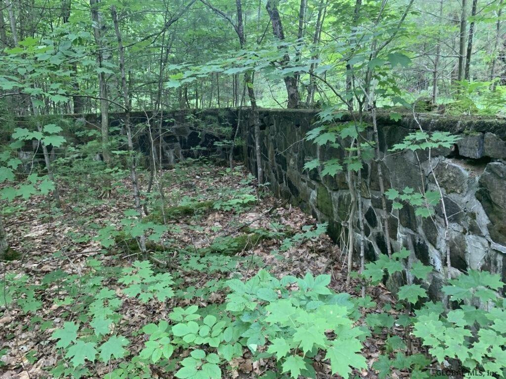 0 Mountain Road Athol, NY 12810 - Photo 22 of 32 Photo 22