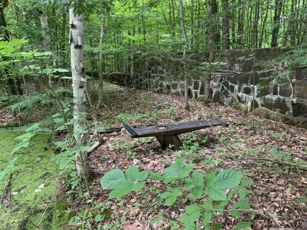 0 Mountain Road Athol, NY 12810 - Photo 23 of 32 Photo 23