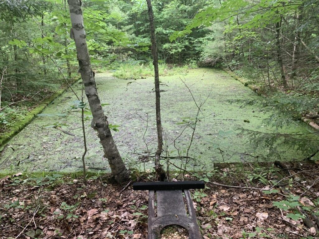 0 Mountain Road Athol, NY 12810 - Photo 24 of 32 Photo 24