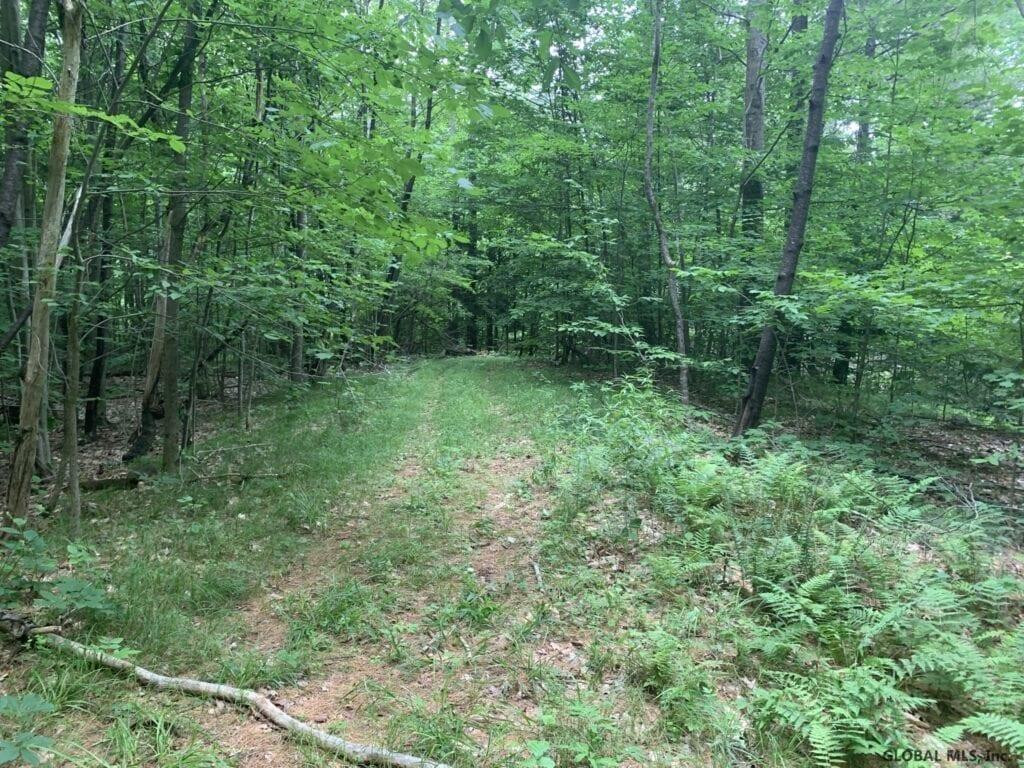 0 Mountain Road Athol, NY 12810 - Photo 25 of 32 Photo 25