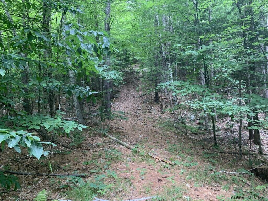 0 Mountain Road Athol, NY 12810 - Photo 26 of 32 Photo 26
