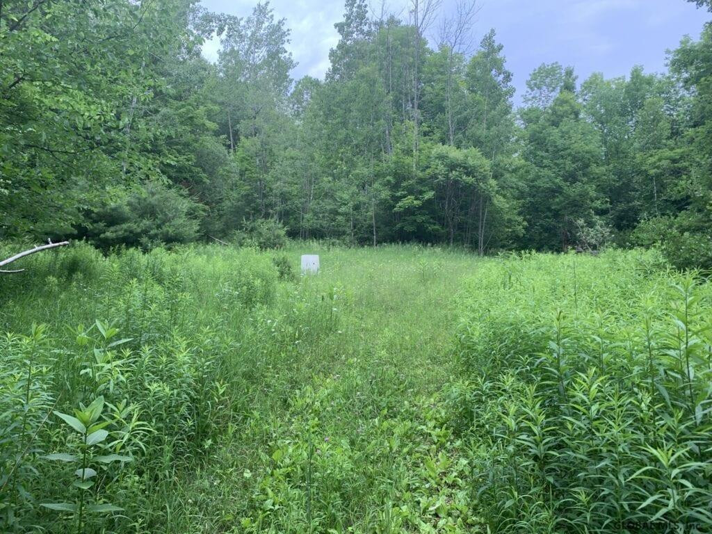 0 Mountain Road Athol, NY 12810 - Photo 30 of 32 Photo 30
