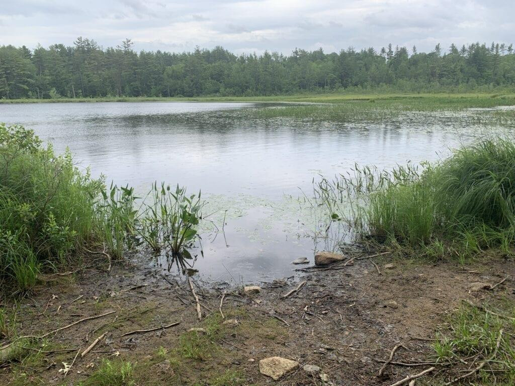 0 Mountain Road Athol, NY 12810 - Photo 3 of 32 Photo 3