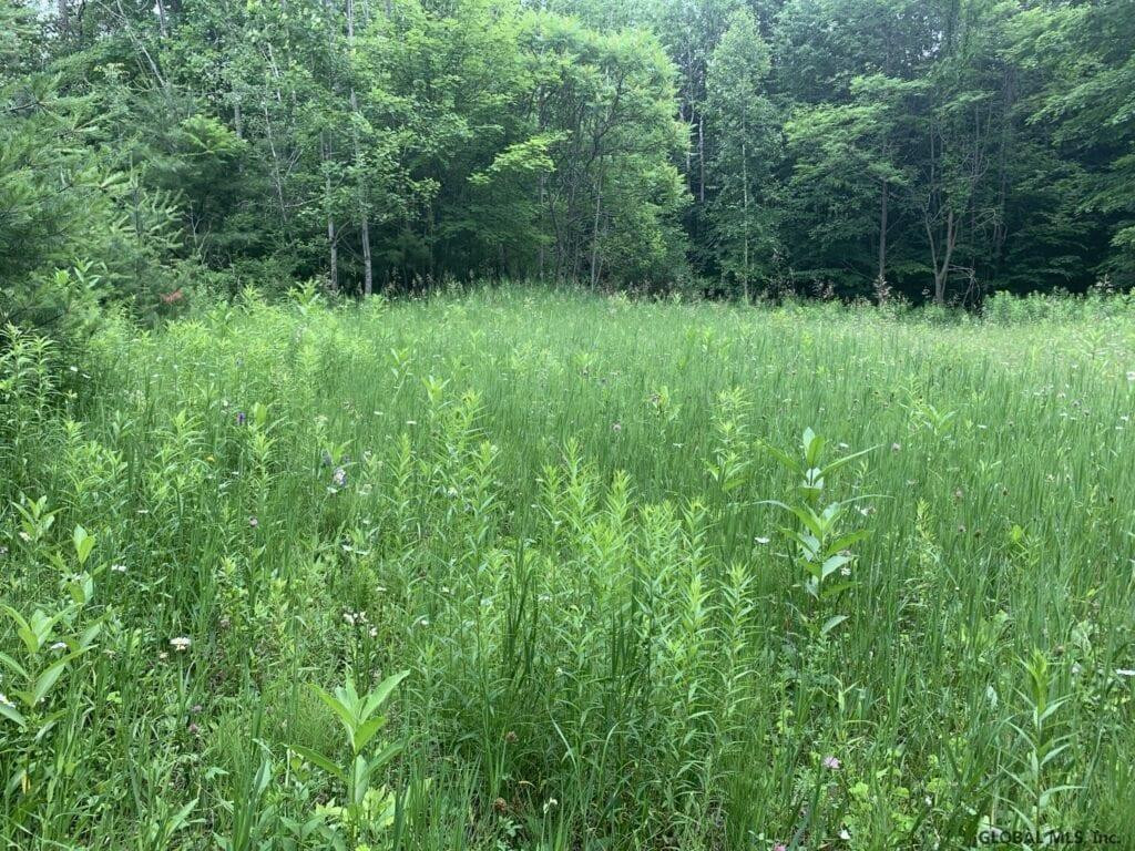 0 Mountain Road Athol, NY 12810 - Photo 31 of 32 Photo 31