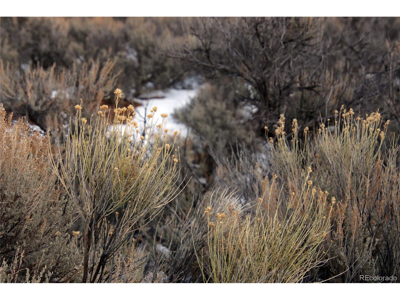 76 Off Of Rt 159 Fort Fort Garland, CO 81133 - Photo 4 of 14 Gallery Image 4