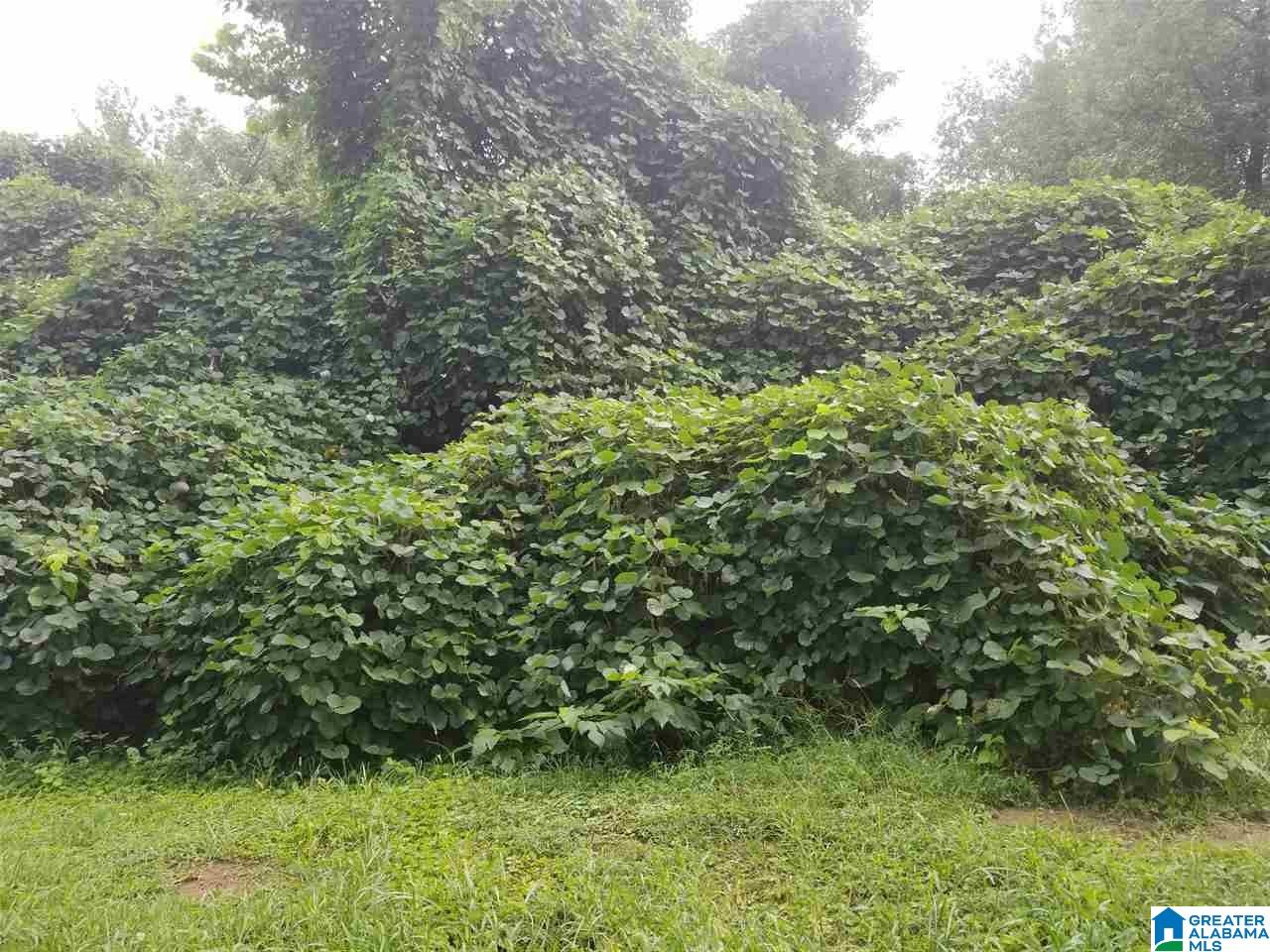 307 Florence Street Bessemer, AL 35023 - Photo 1 of 1