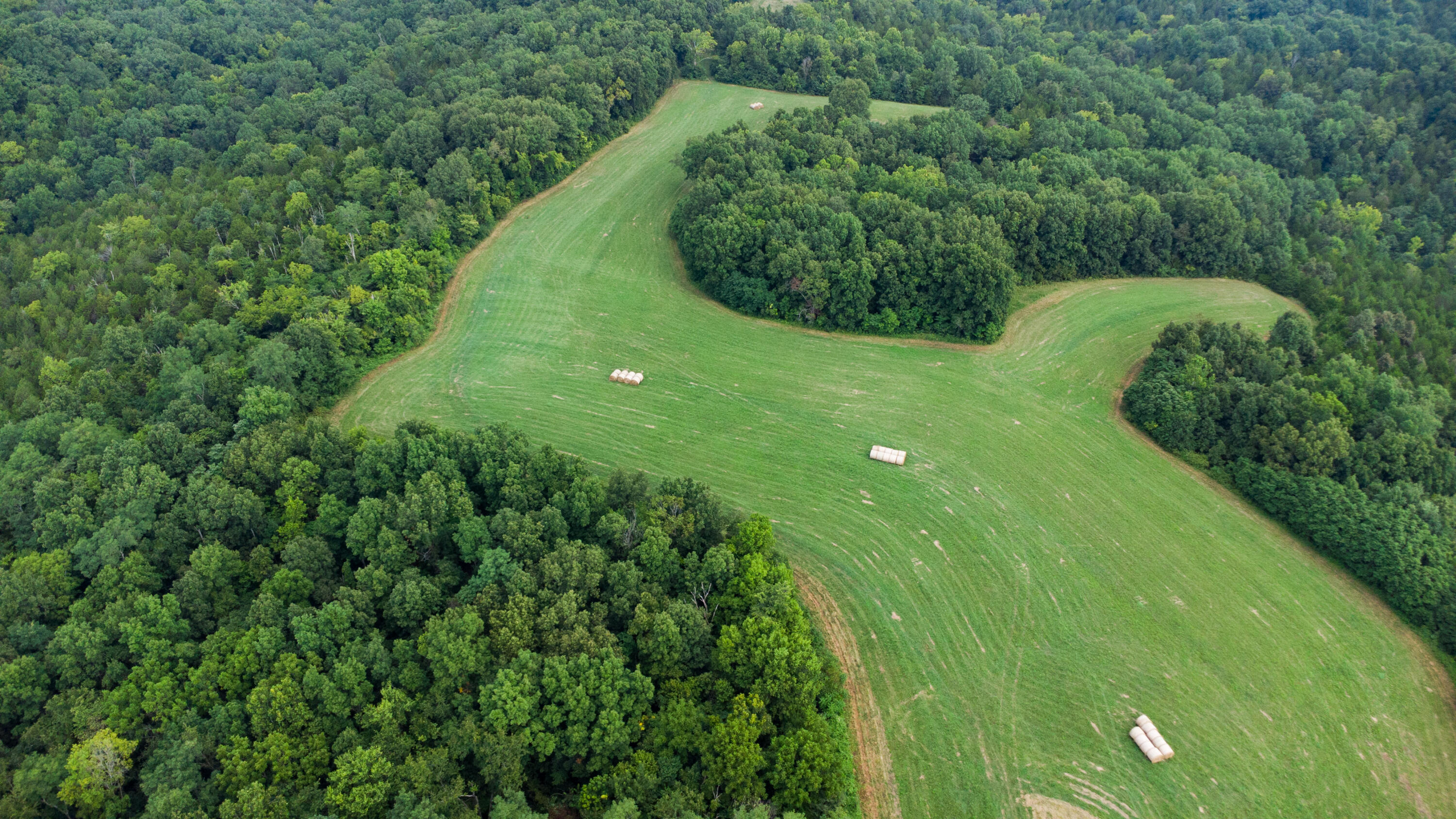 4095 Warsaw Road Dry Ridge, KY 41035 - Photo 7 of 48