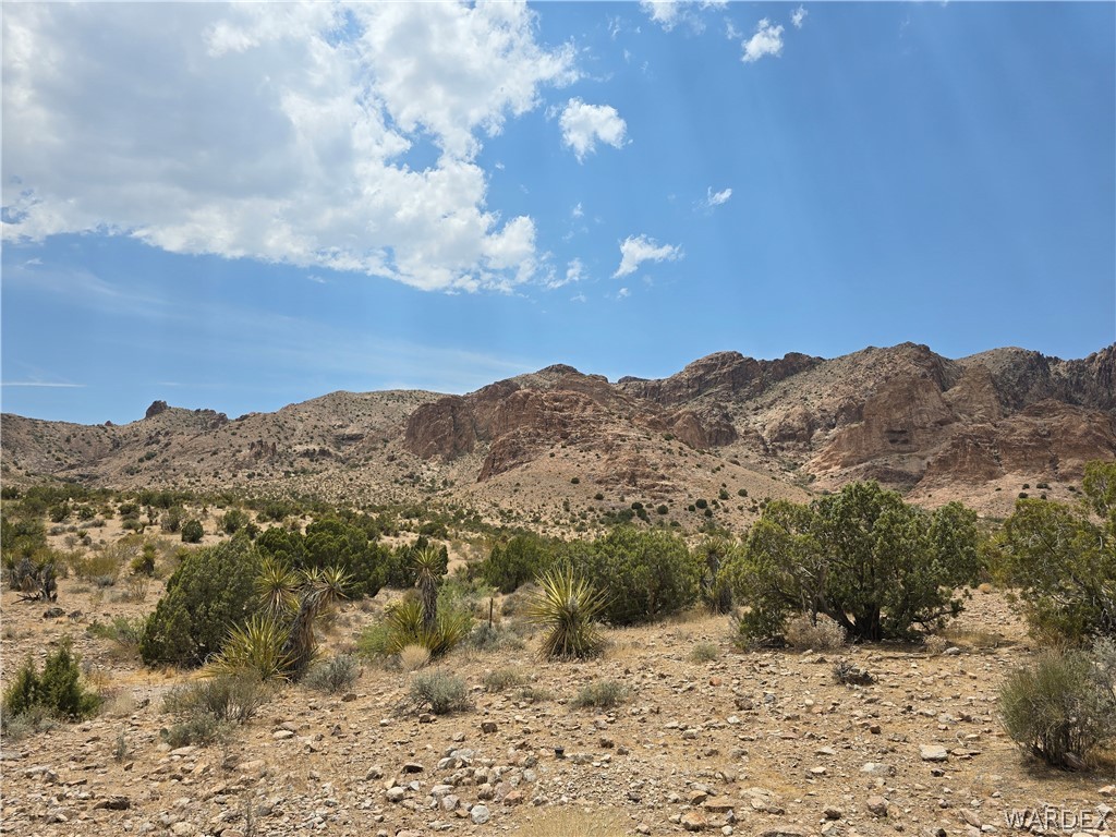 2098 Dewey Road Golden Valley, AZ 86413 - Photo 31 of 47 Other