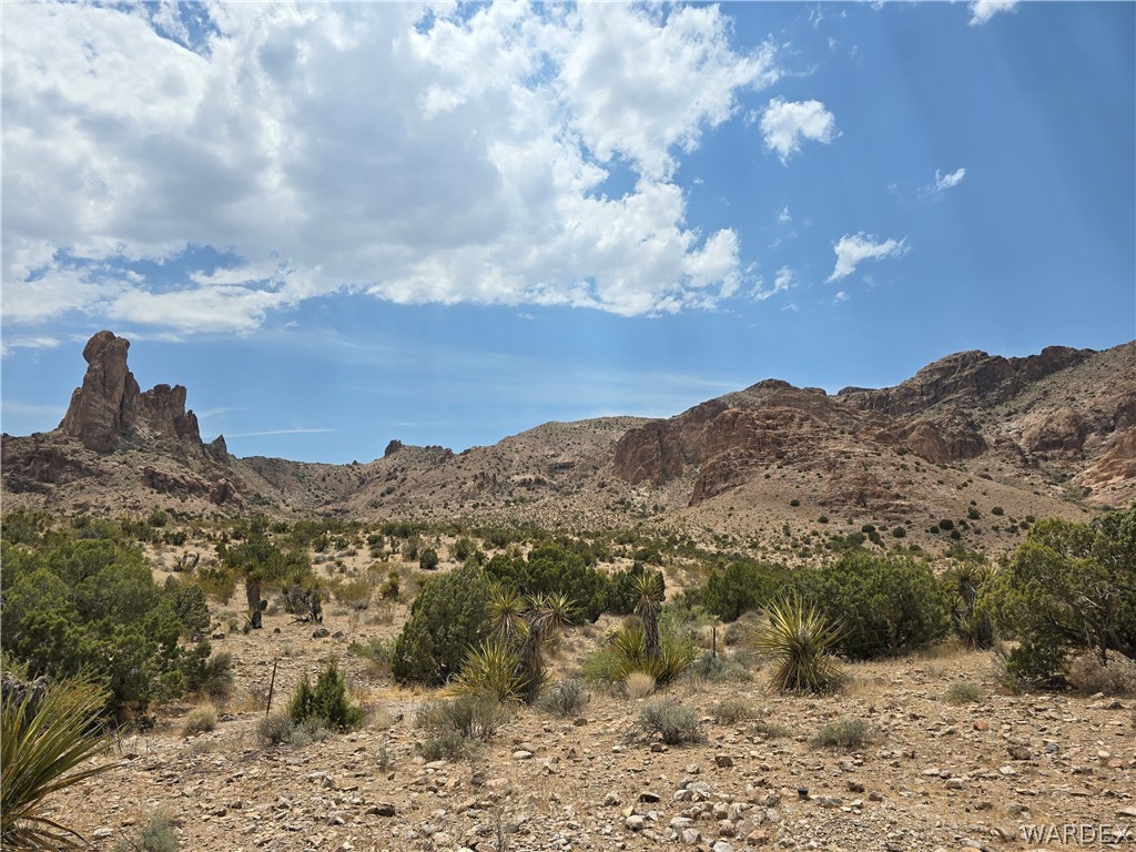 2098 Dewey Road Golden Valley, AZ 86413 - Photo 32 of 47 Other