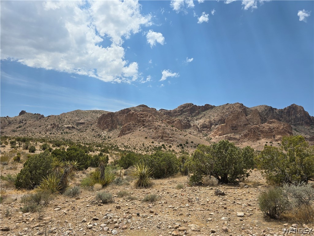 2098 Dewey Road Golden Valley, AZ 86413 - Photo 33 of 47 Other