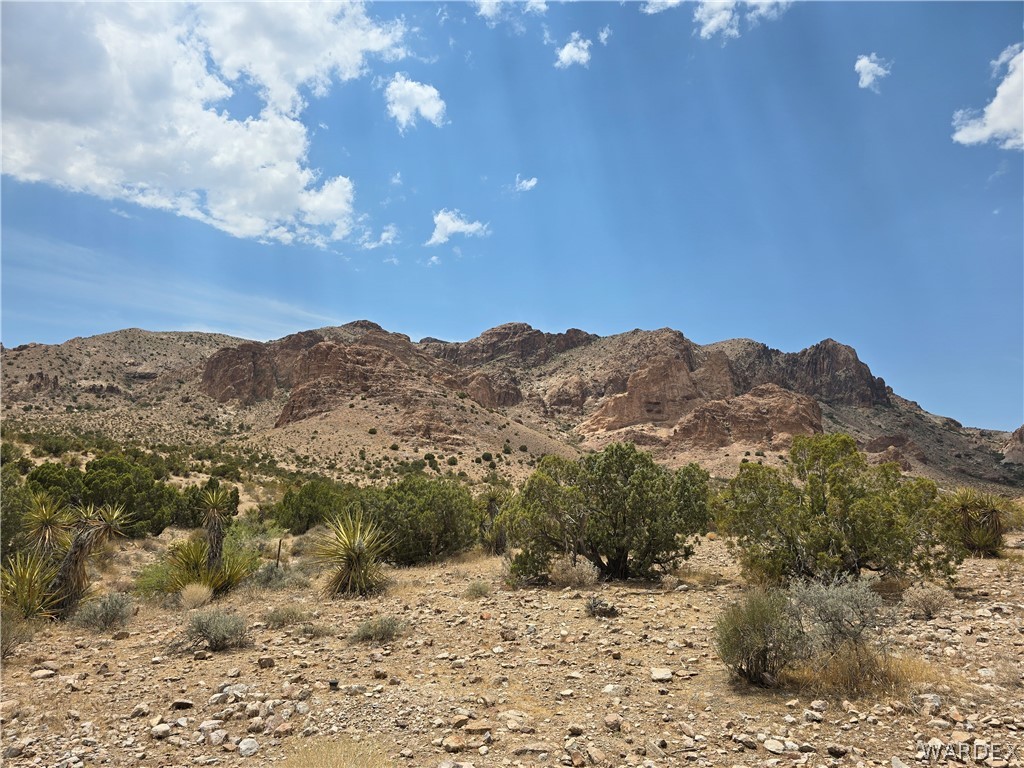 2098 Dewey Road Golden Valley, AZ 86413 - Photo 34 of 47 Other