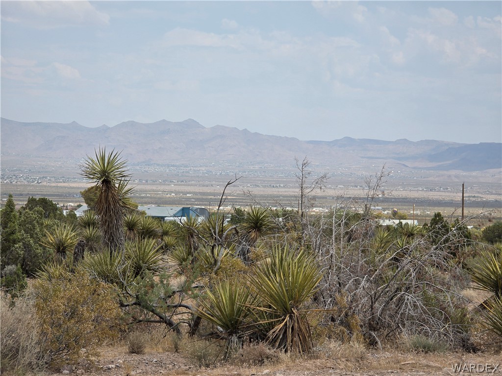 2098 Dewey Road Golden Valley, AZ 86413 - Photo 47 of 47 View