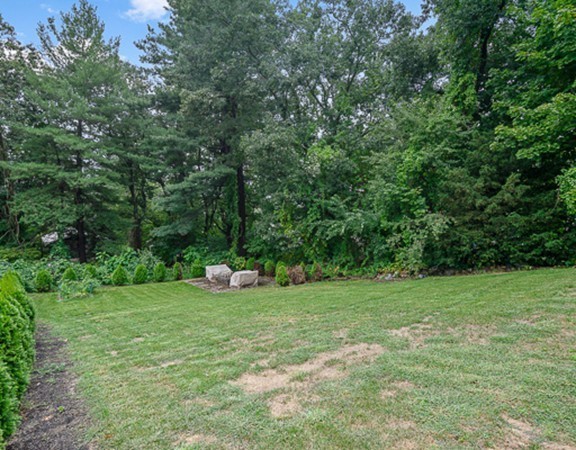 80 Hillcrest Road Waltham, MA 02451 - Photo 18 of 20 a view of a grassy field with trees in the background