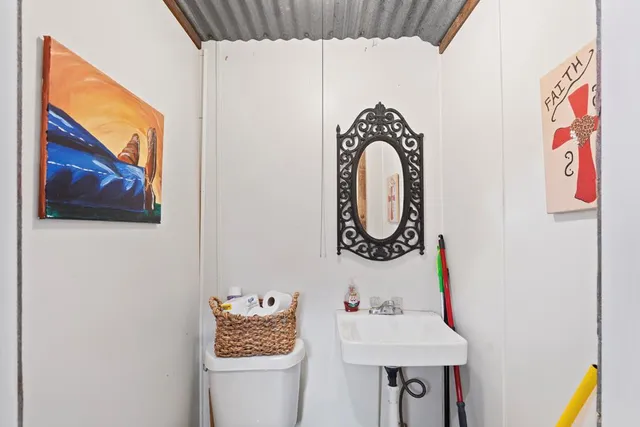 a view of a garden with plants