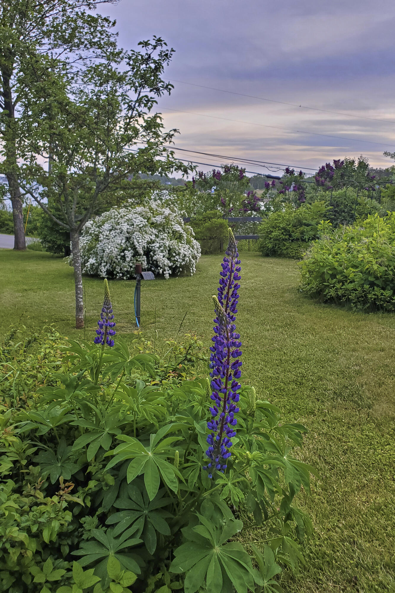 105 Martin Point Road Friendship, ME 04547 - Photo 55 of 56 59-105 Martin Point Road-Friendship-JAC