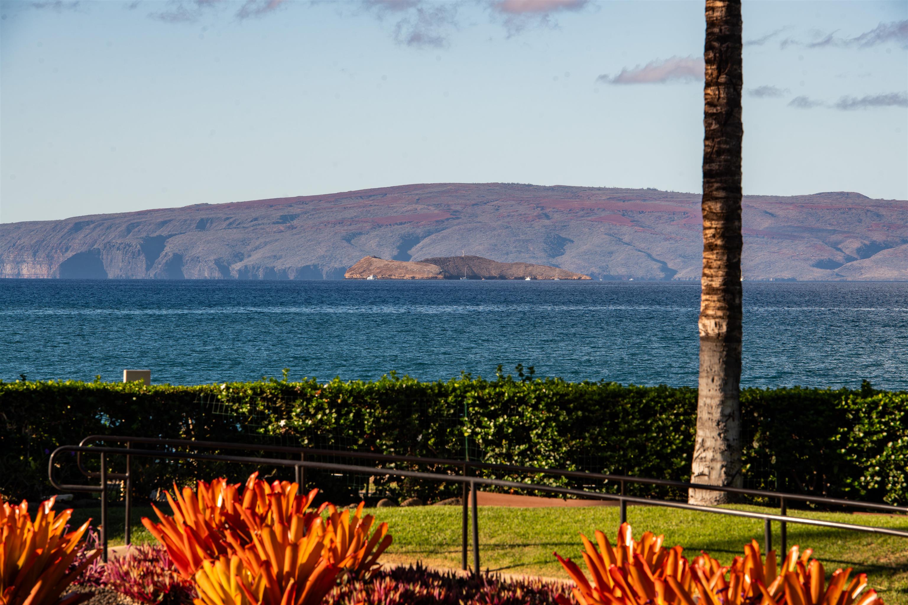 3800 Wailea Alanui Drive, Unit B101 Kihei, HI 96753 - Photo 29 of 50 a view of a terrace with a bench