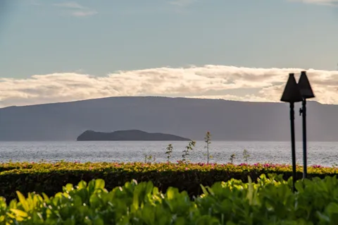 a view of outside and ocean
