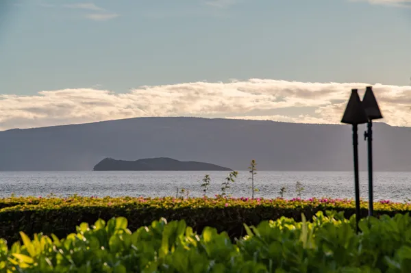 a view of outside and ocean