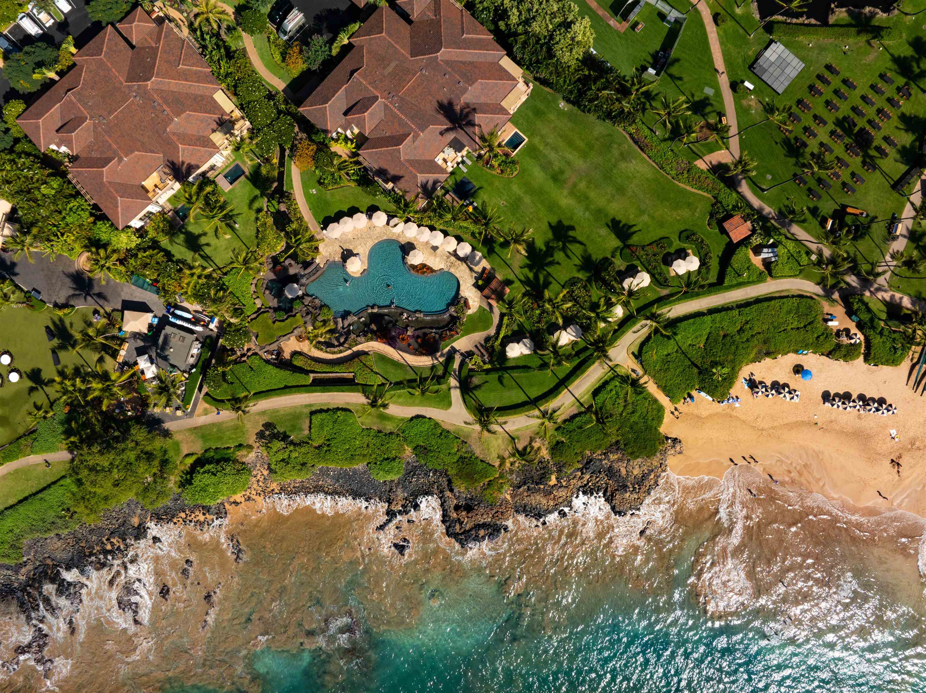 3800 Wailea Alanui Drive, Unit B101 Kihei, HI 96753 - Photo 4 of 50 a picture of tree