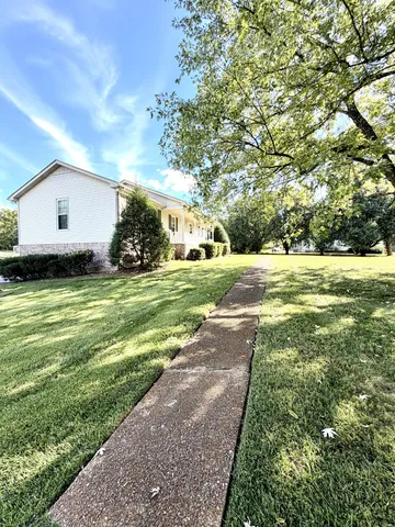 a view of a big yard with plants and large tree