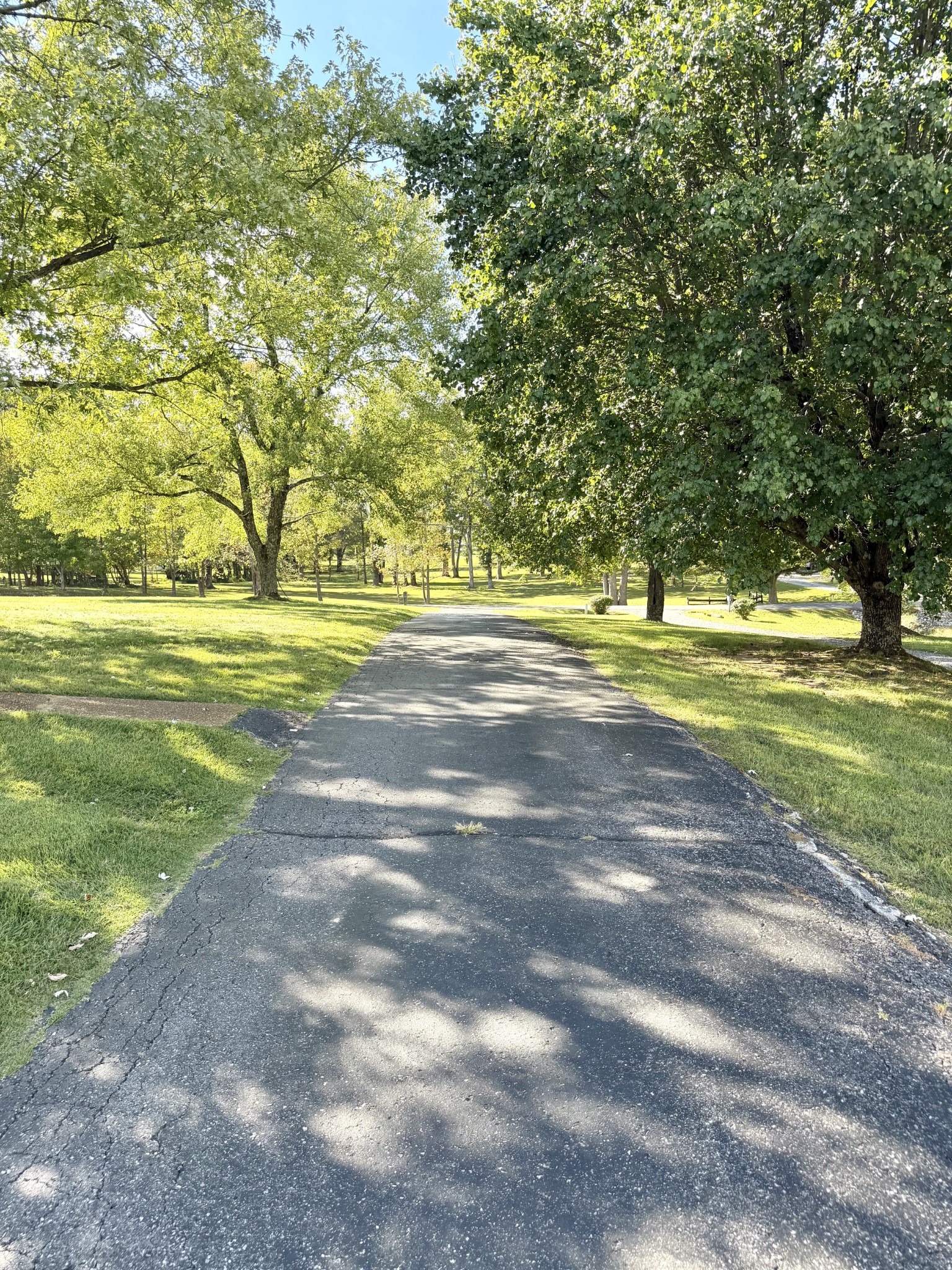 356 Lee Road Cottontown, TN 37048 - Photo 42 of 52